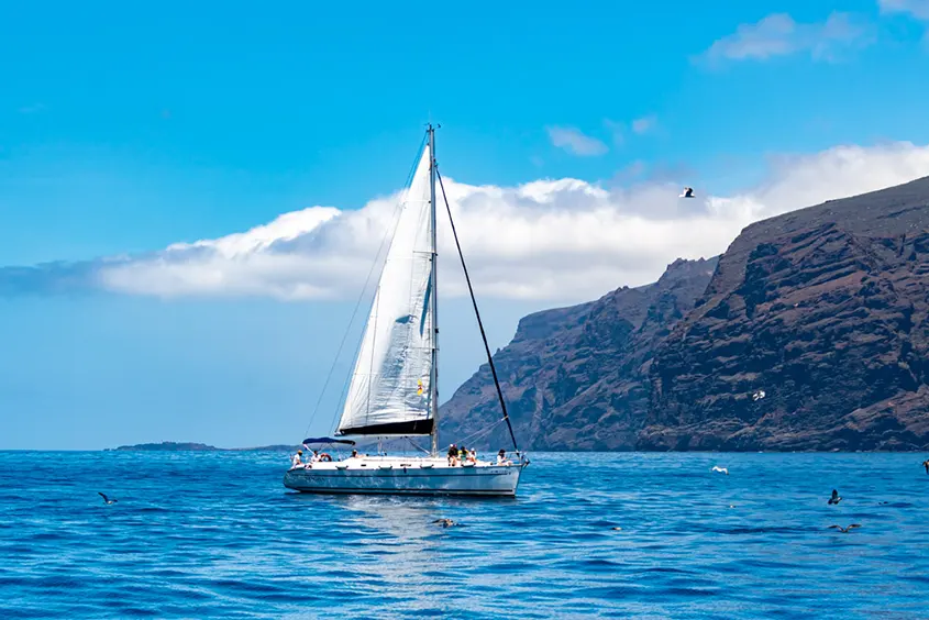 Sailing Excursion Los Gigantes Tenerife Teno Activo Kayak